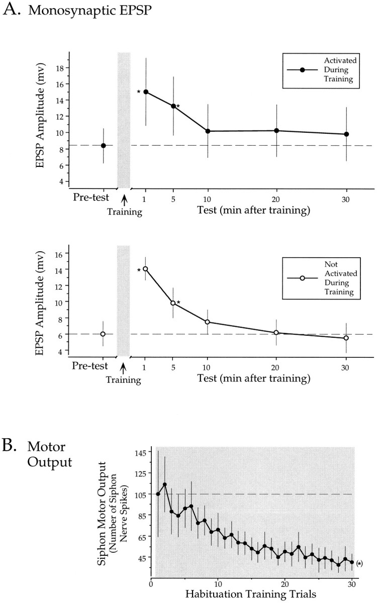 Fig. 10.