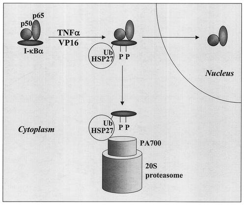 FIG. 9.