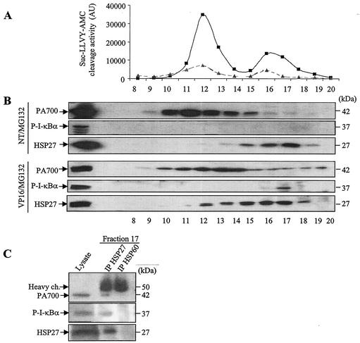 FIG. 8.