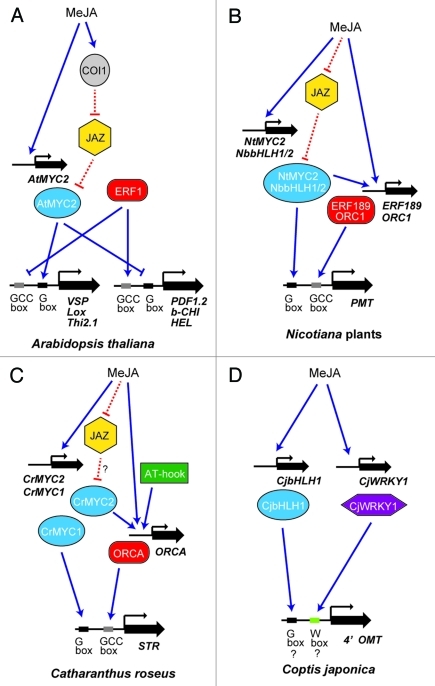 Figure 2.