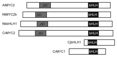 Figure 3.