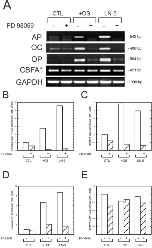 Figure 7.