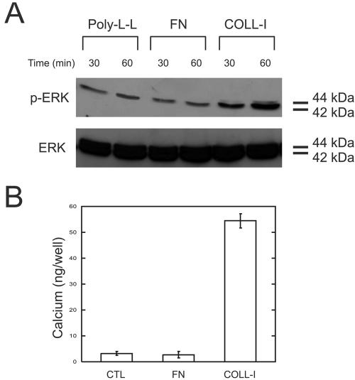 Figure 10.