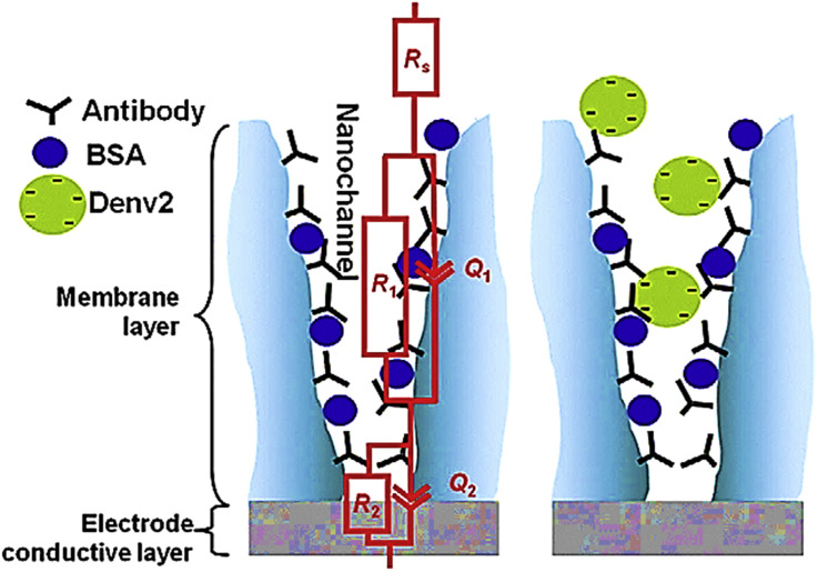 Fig. 8