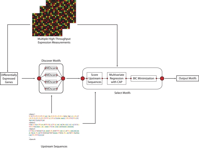 Figure 1.