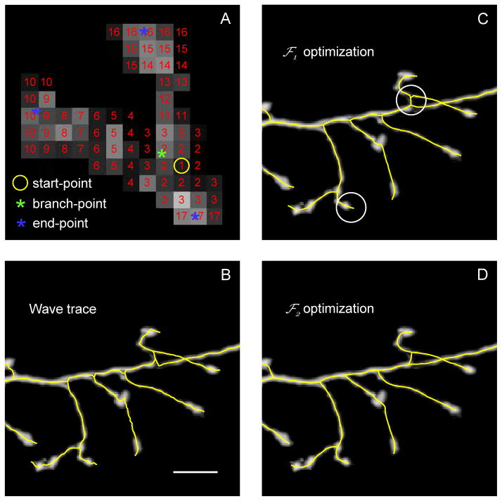 Figure 4