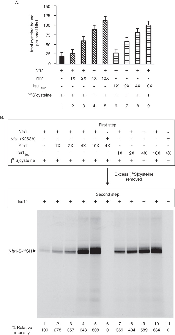 FIGURE 3.