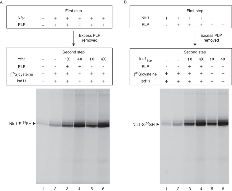 FIGURE 6.