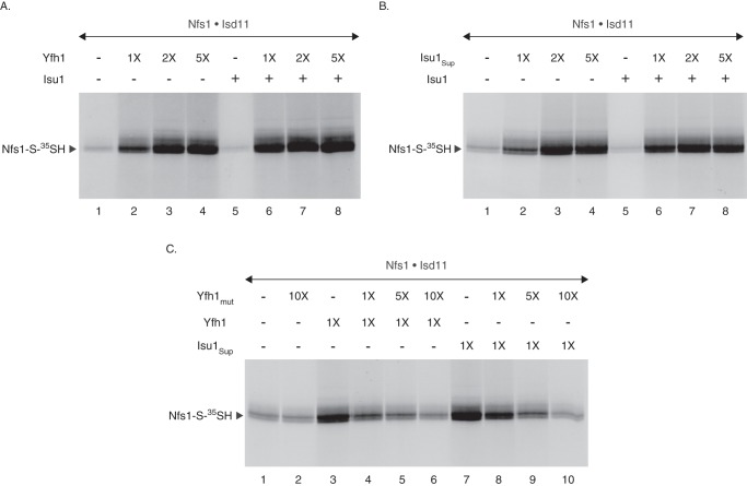 FIGURE 2.