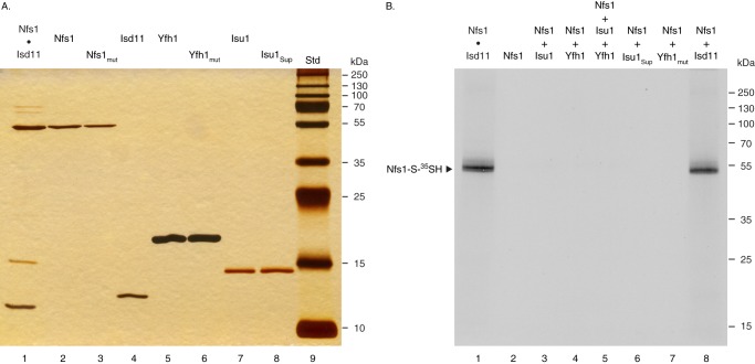 FIGURE 1.