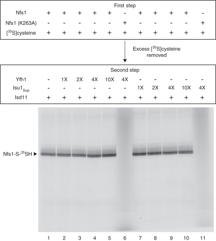 FIGURE 4.