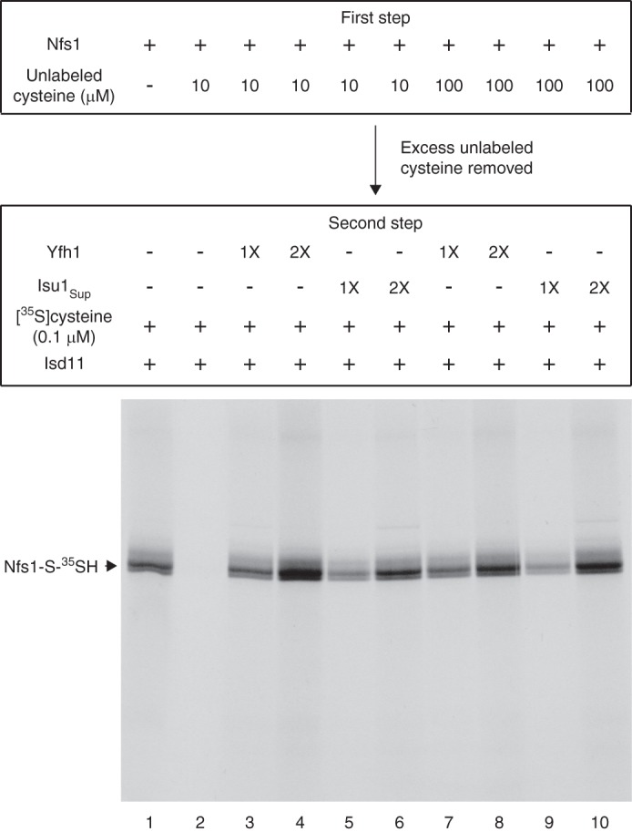 FIGURE 7.