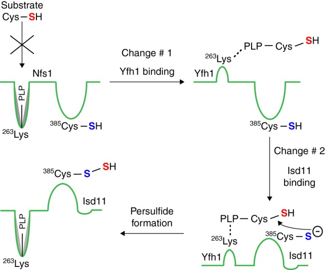 FIGURE 11.