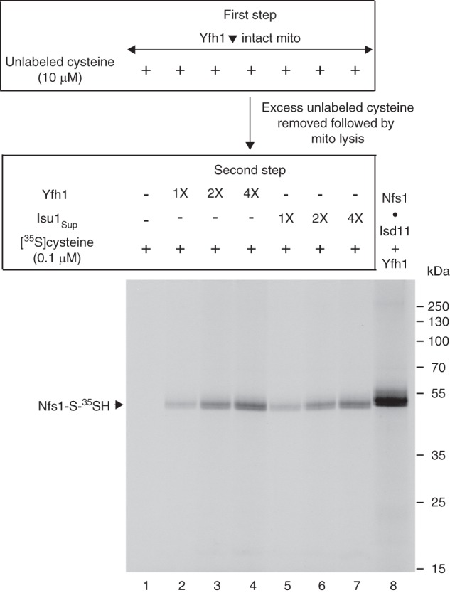 FIGURE 10.