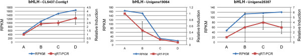 Figure 13