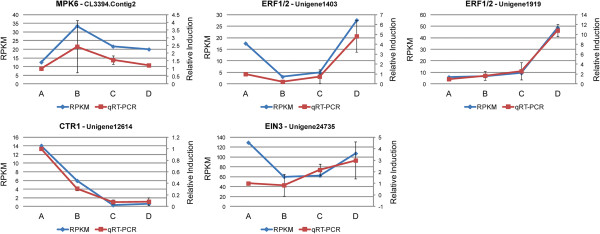 Figure 14