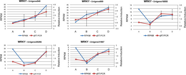 Figure 12