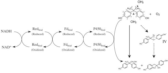 FIG. 5.