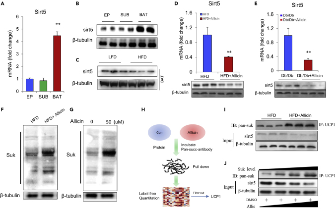 Figure 6