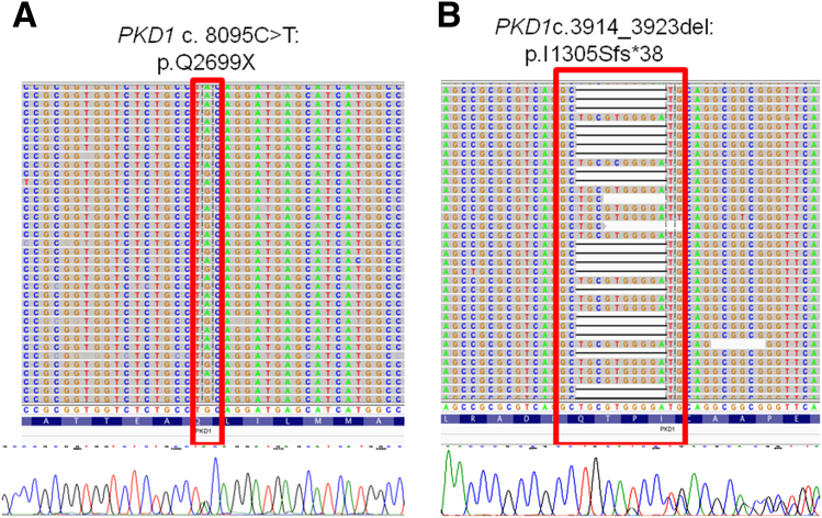 Figure 4