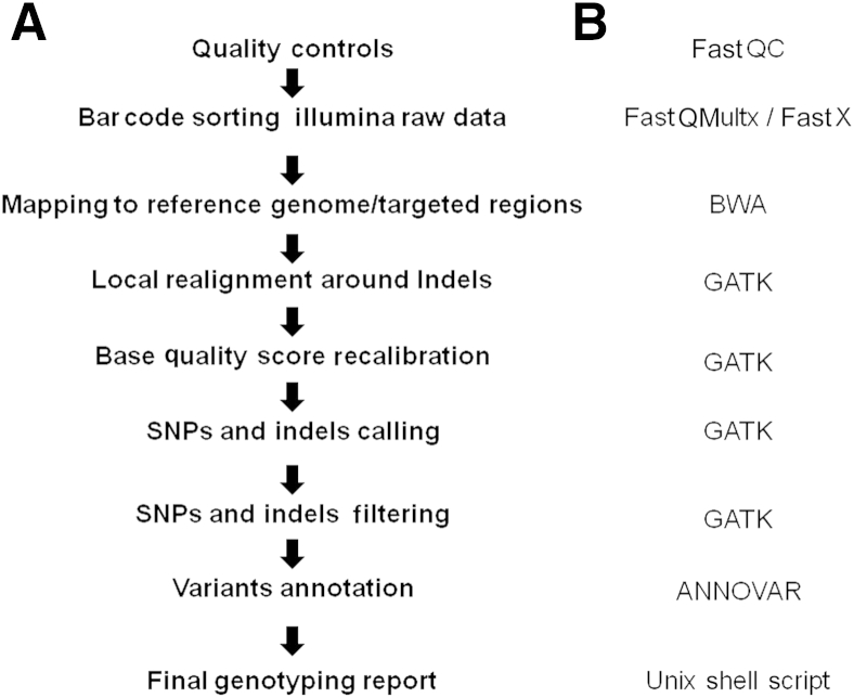 Figure 2