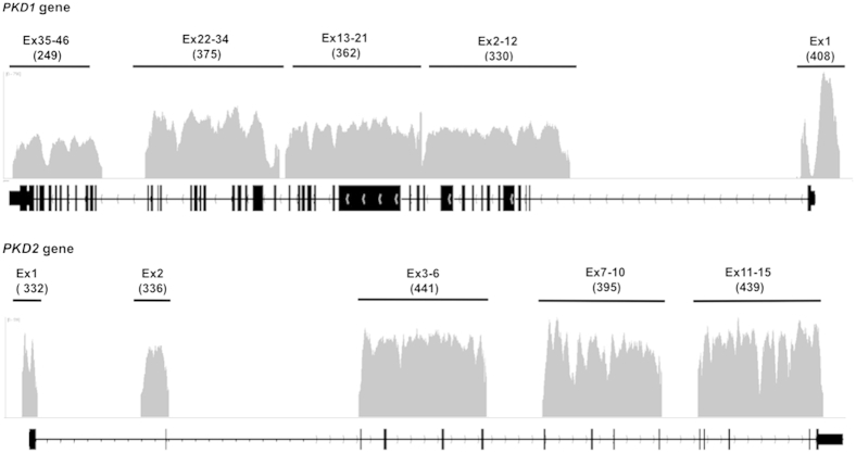 Figure 3