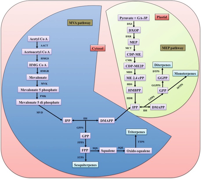 Fig. 12.2