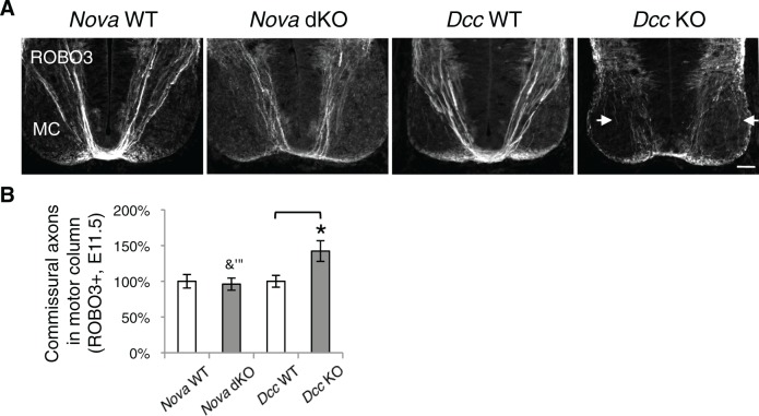 Figure 6—figure supplement 1.