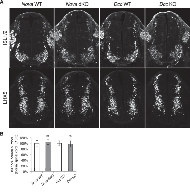 Figure 3—figure supplement 2.