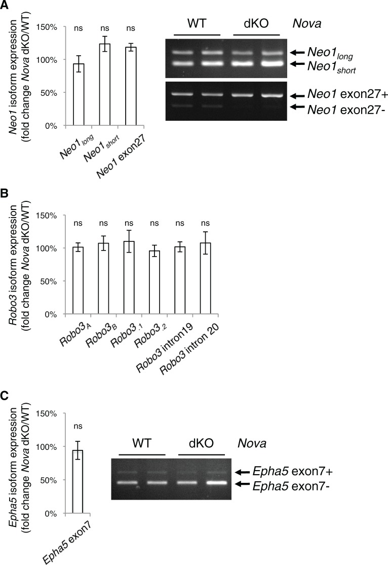 Figure 7—figure supplement 3.