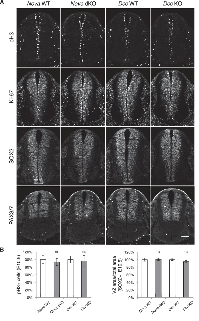 Figure 3—figure supplement 1.