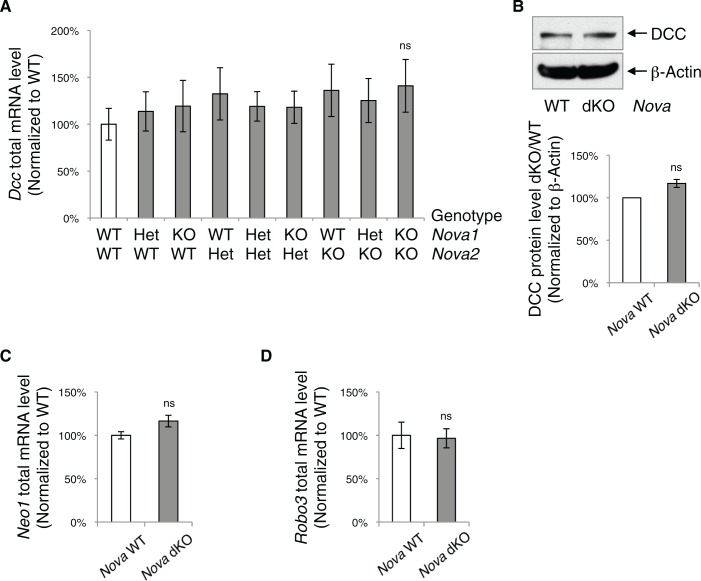 Figure 7—figure supplement 2.