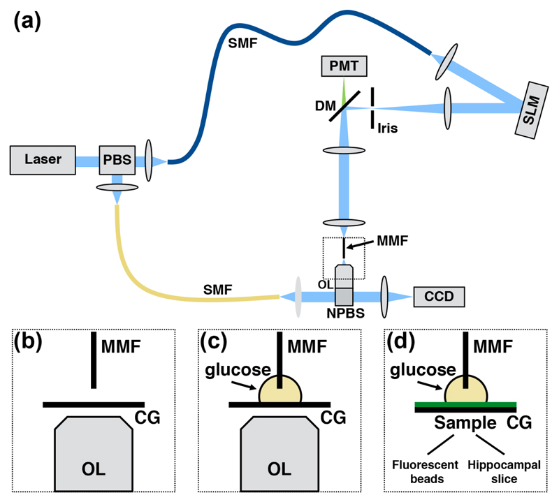 Fig. 1