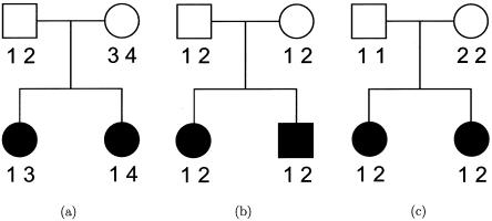 Figure  1