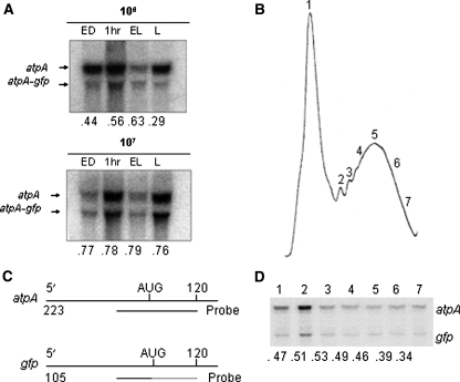 Fig. 8