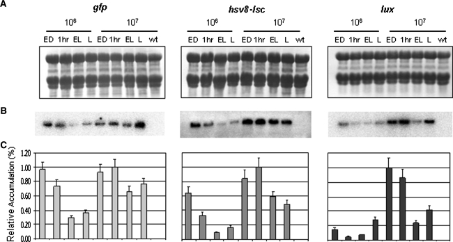 Fig. 4