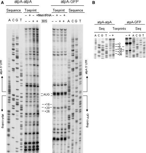 Fig. 7