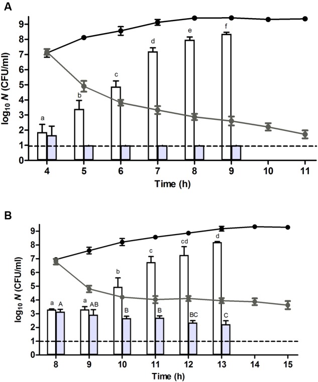 FIGURE 3