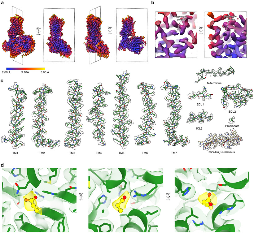 Extended Data Figure 4.