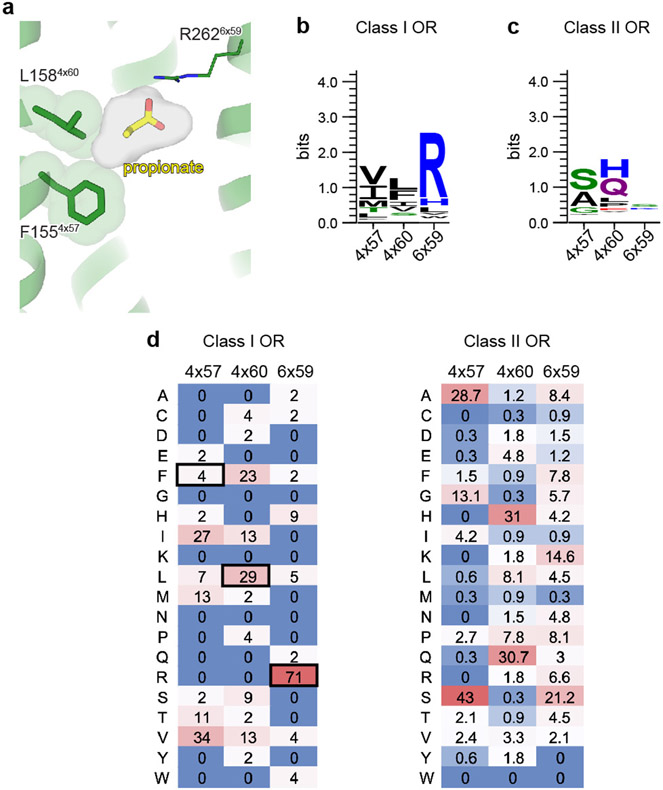 Extended Data Figure 6.