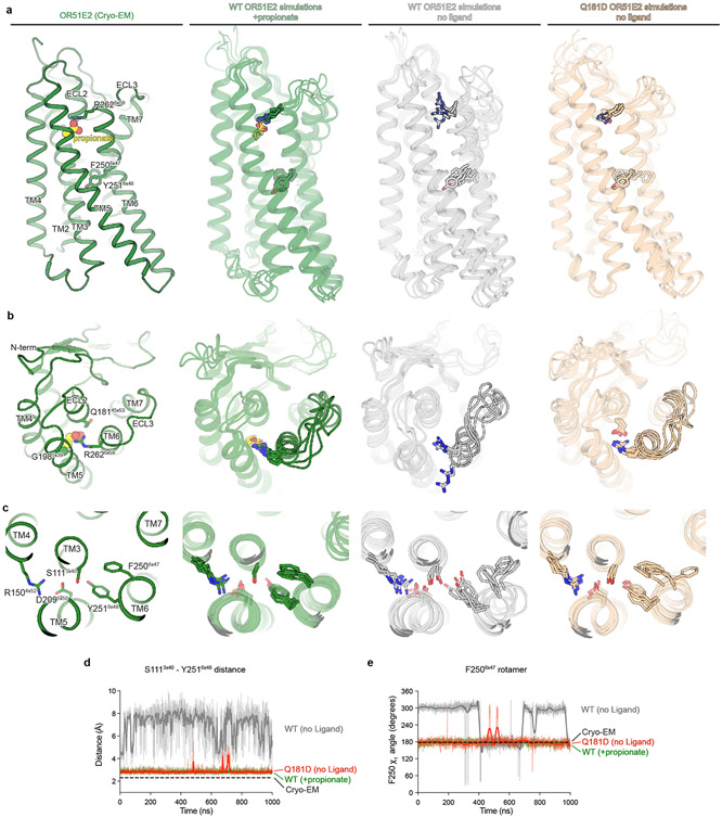 Extended Data Figure 9.