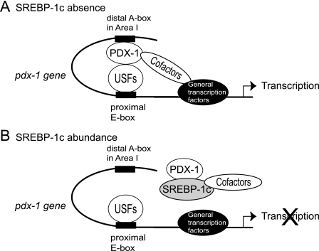 FIGURE 10.