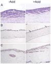 Fig 5