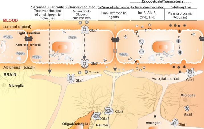 Fig. 4 