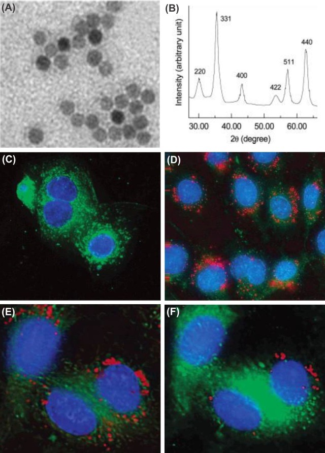 Fig. 7 