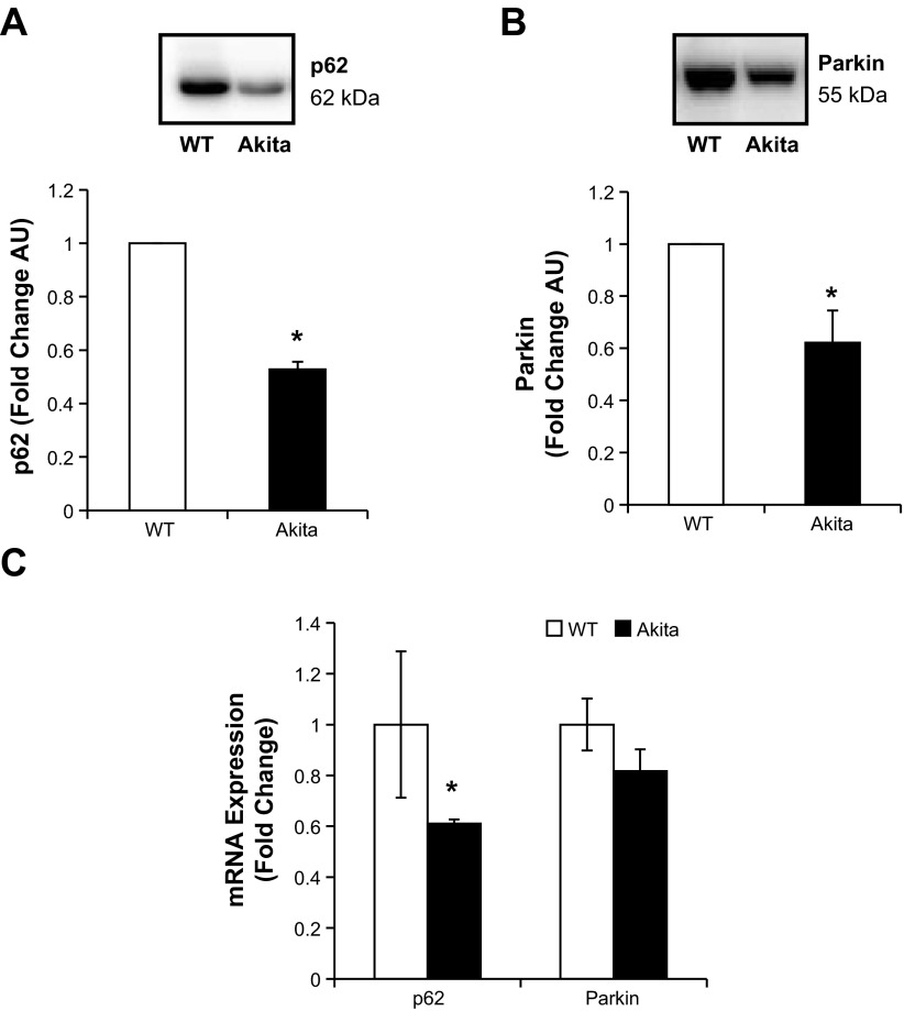 Fig. 10.