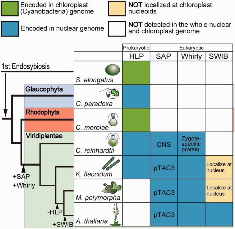 Fig. 7.—