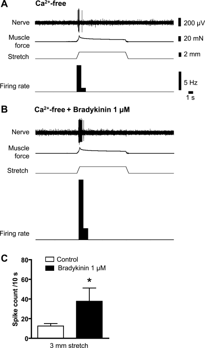 Fig. 10.