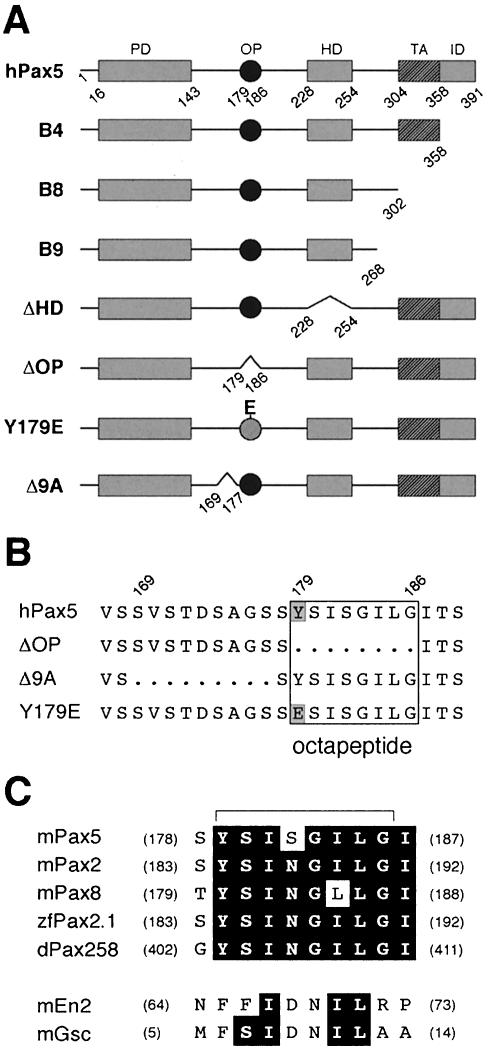 graphic file with name cdd215f2.jpg