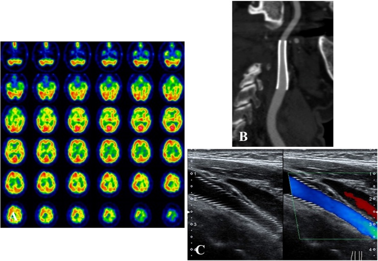 Fig. 4